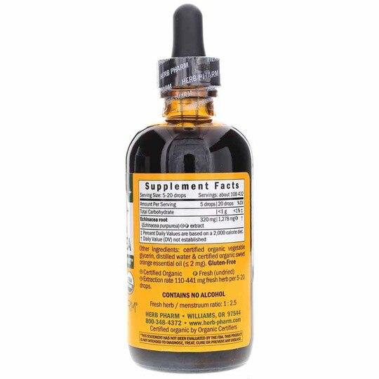 Kids Echinacea Orange Flavor, HPH